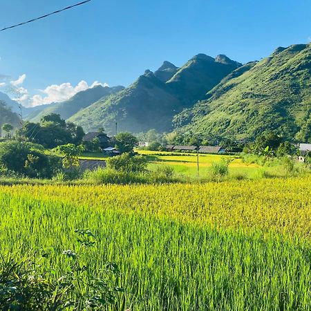 Du Gia Field View Homestay Làng Cac Eksteriør bilde