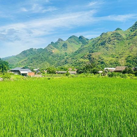 Du Gia Field View Homestay Làng Cac Eksteriør bilde
