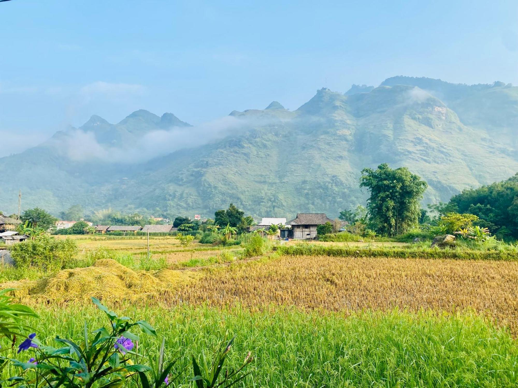 Du Gia Field View Homestay Làng Cac Eksteriør bilde