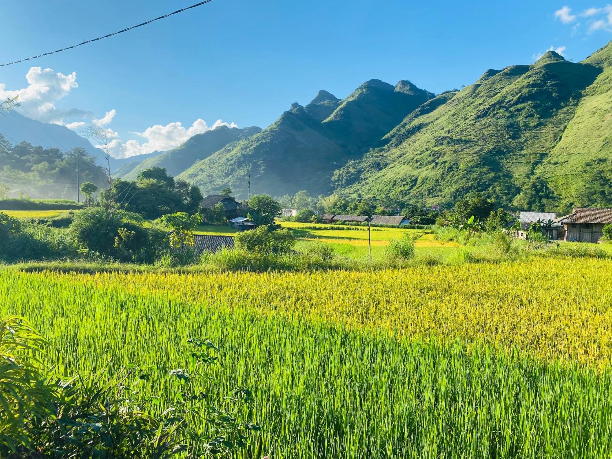 Du Gia Field View Homestay Làng Cac Eksteriør bilde