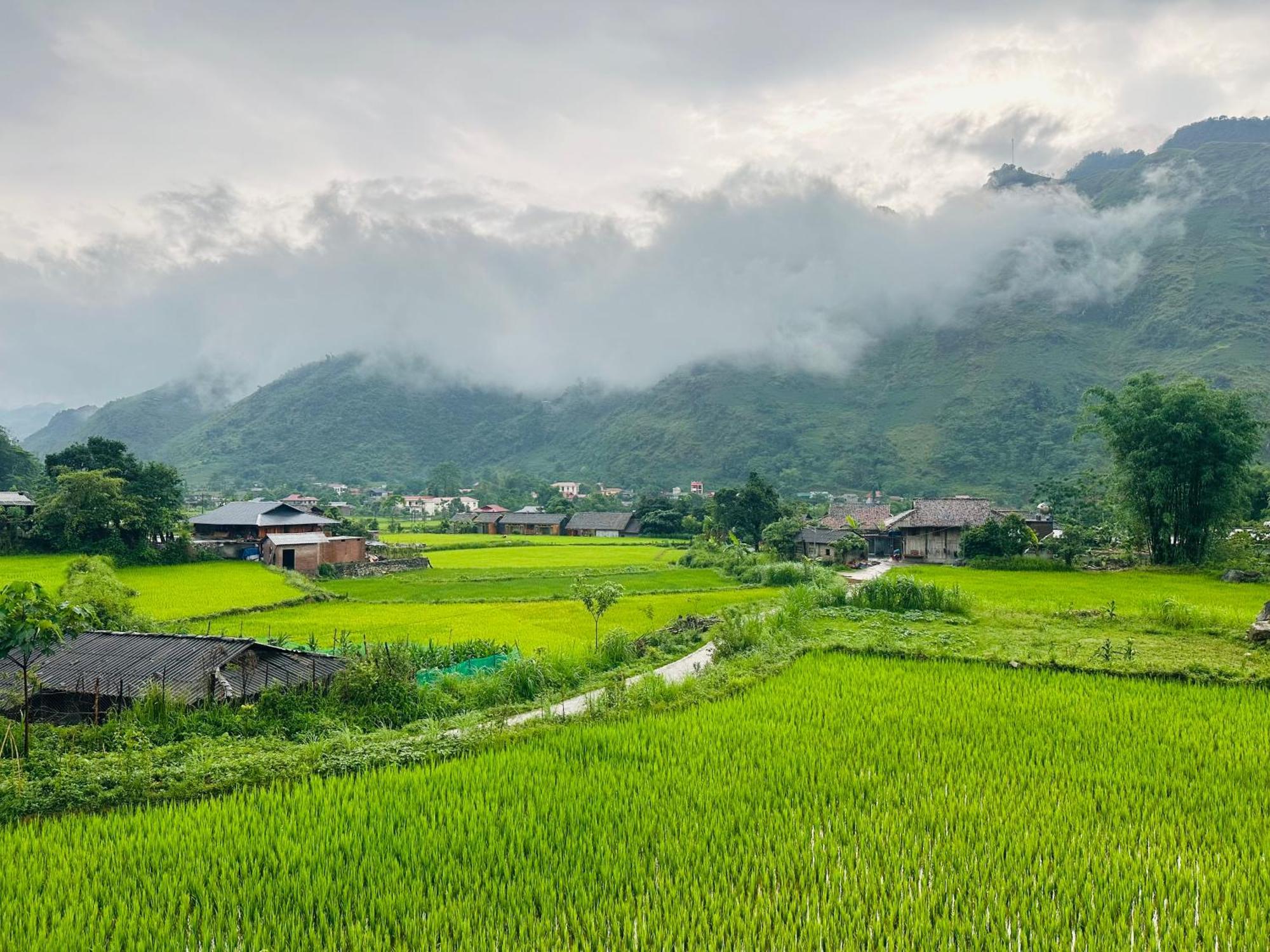Du Gia Field View Homestay Làng Cac Eksteriør bilde