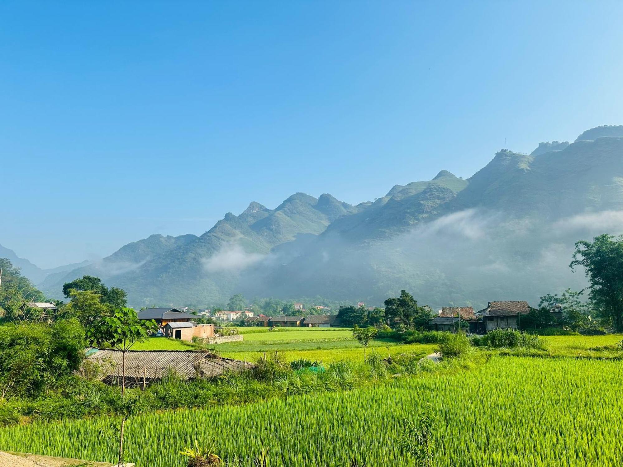 Du Gia Field View Homestay Làng Cac Eksteriør bilde
