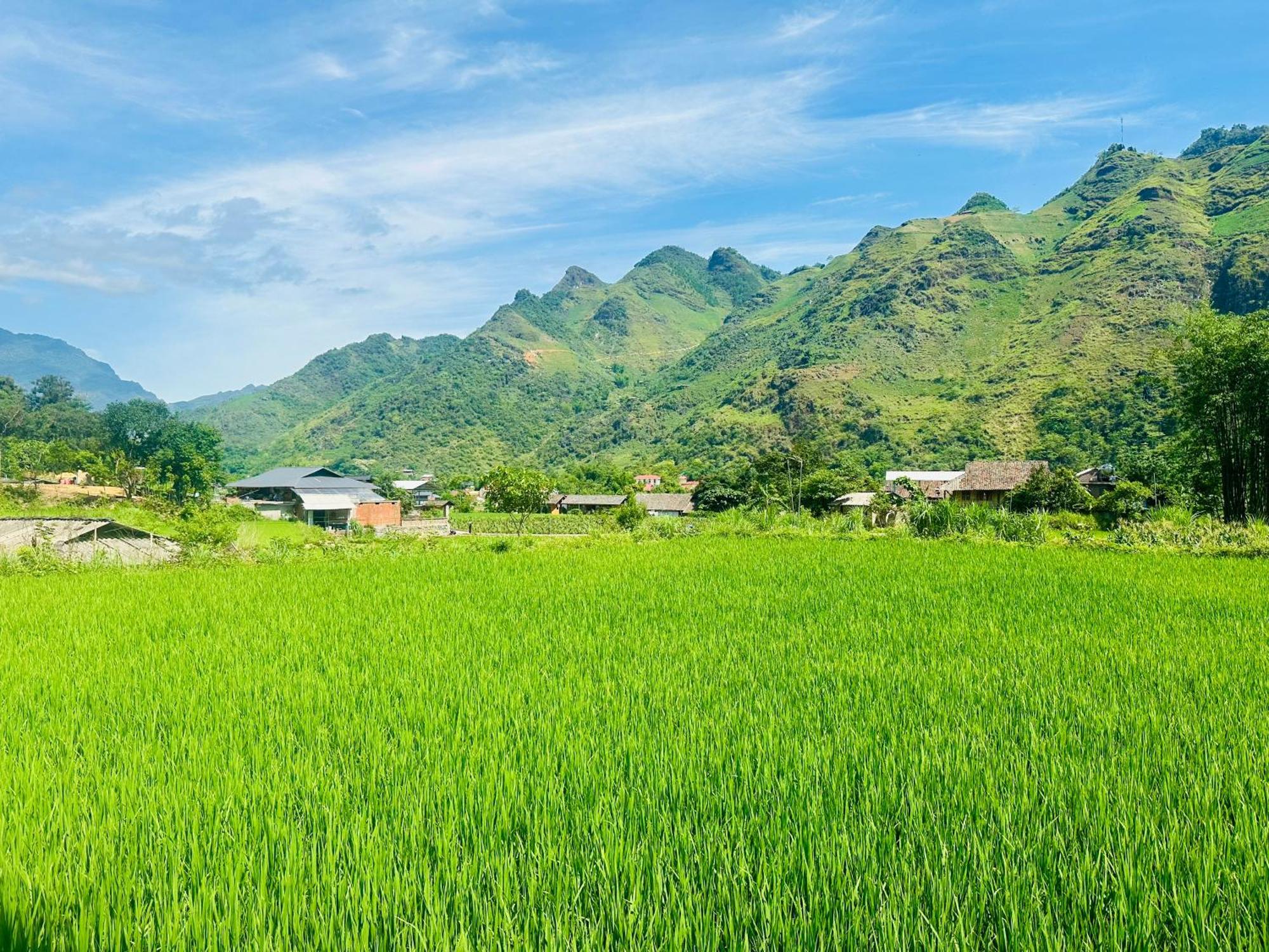 Du Gia Field View Homestay Làng Cac Eksteriør bilde